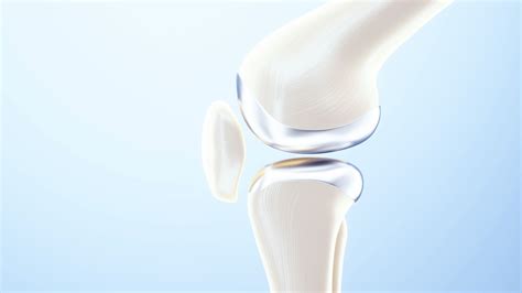 hip and knee surgery greenwich|Rajaee MD .